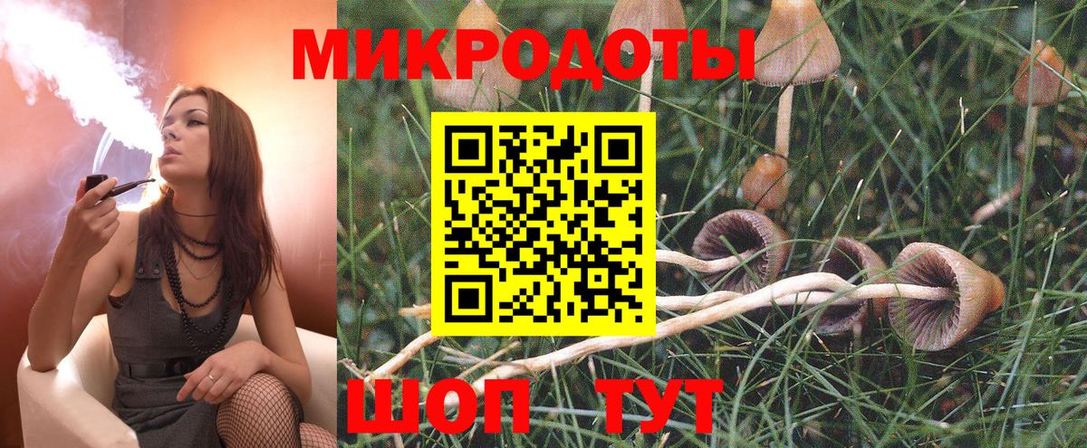 Псилоцибиновые грибы MAGIC MUSHROOMS Санкт-Петербург